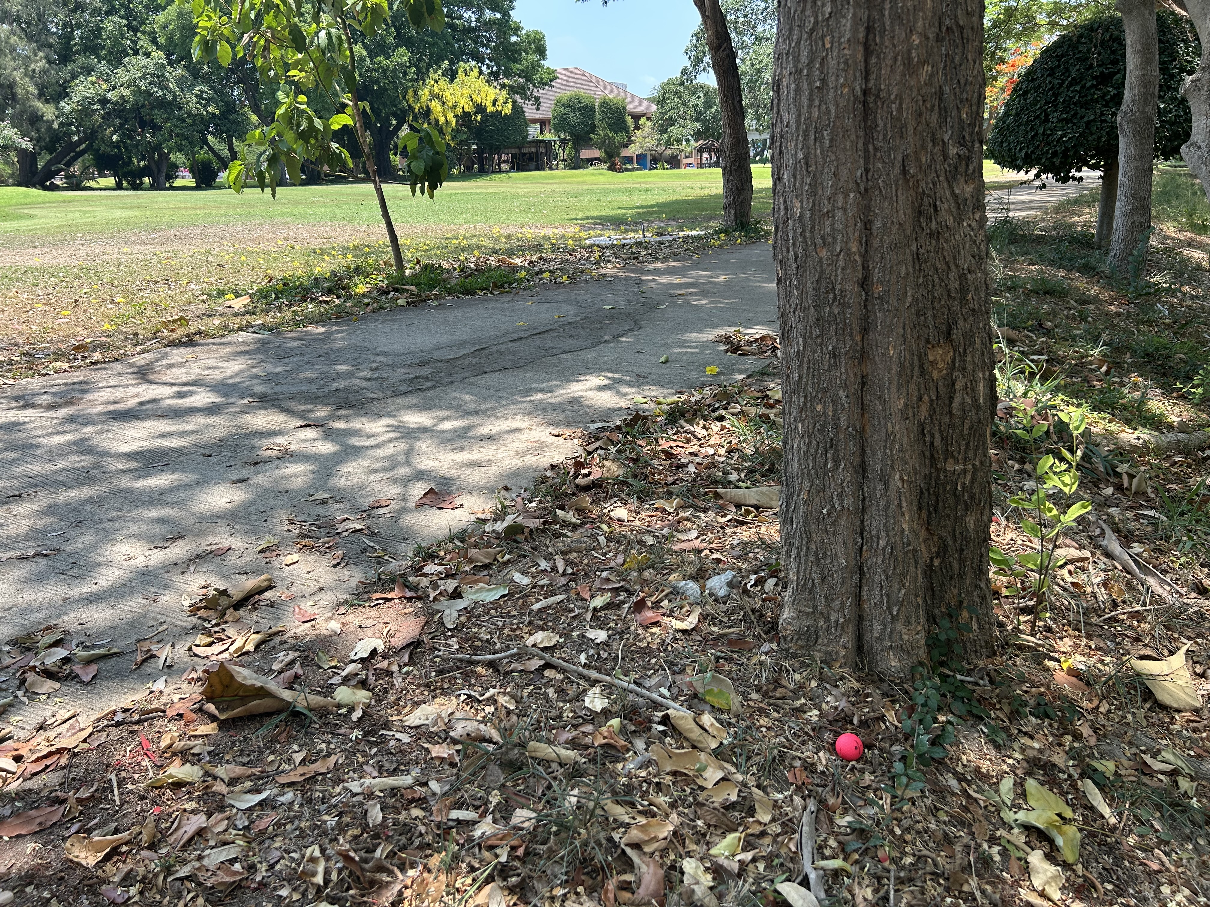 À droite du fairway, j'ai la place pour un bon stance pour du chipping, mais j'assure avec mon putter.